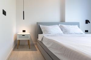 Alecsandri Central Stay Apartments - Close to Old Town