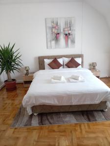 Bella Notte apartments - Strogi centar, terasa, brzi Wi-Fi