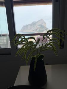 Coral Beach 319B