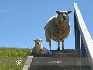 De Kleev Wohlfühlen direkt am Nordseedeich