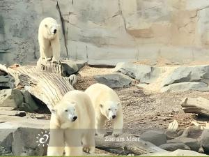 De Kleev Wohlfühlen direkt am Nordseedeich