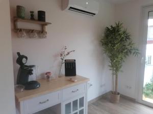 Chambre jungle 3