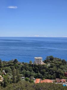 Duplex Residence with Monte Carlo Sea View & 2 Terraces