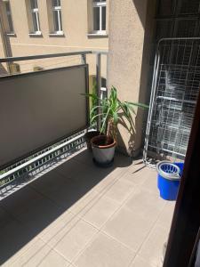 Apartament 10 minut spacerem do MTP