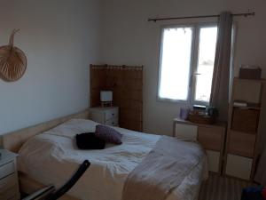Appartement saumon 3p