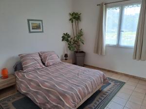 Appartement saumon 3p
