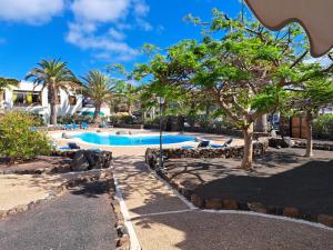 Casa jablillo Premium