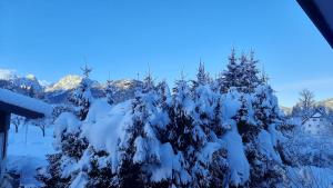 Profumo di montagna - Residence ai Caprioli Tarvisio