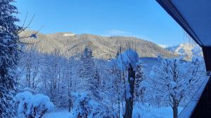 Profumo di montagna - Residence ai Caprioli Tarvisio