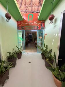 Casa Palma Hotel