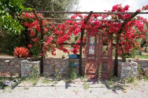 Picturesque Houses Arkadia Greece