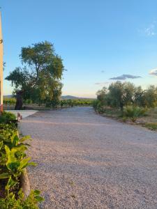 Cortijo El Pajaroto