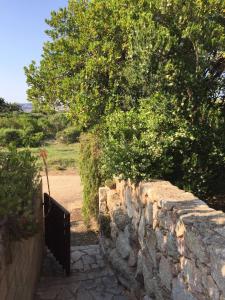 Punta Saraceno img14
