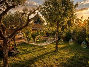 Agriturismo il Casato - il Torchio