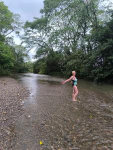 Rainforest Lodge del Rio