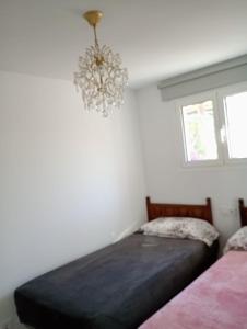 Apartamentos Escorpion Tossa de Mar