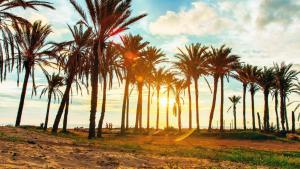 Luxury sea view property 2bedroom and 2 bath Playa Flamenca