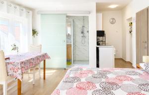 Amazing Apartment In Tribunj With Wifi