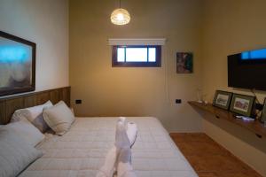 San Cosme y Damian Lodge & Spa