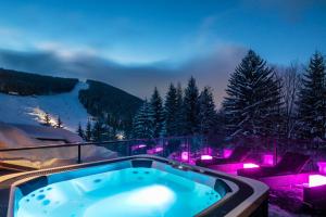 4 star Хотел Pytloun Wellness Hotel Harrachov Харачов Чехия