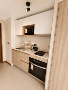 Estudio peninsula Cavancha