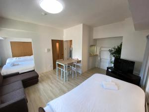 Downtown area Spacious cozy room Susukino IK601