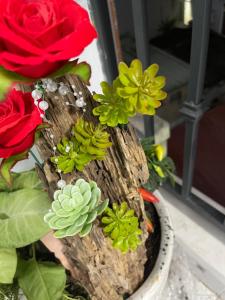 Homestay giữa trung tâm Hải Phòng