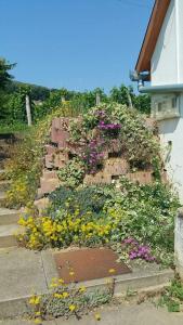 Double Room with Garden View room in Remete-lak