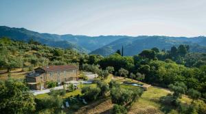 Stone Farmhouse Between Florence And Lucca