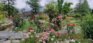 The Nagri Resort