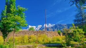 The Nagri Resort