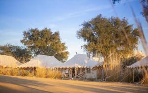 MANVĀR SEVAN, THE DESERT CAMP