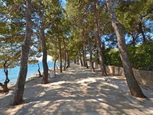 Apartments Dva Galeba - One Bedroom Apartment with Garden Terrace 202