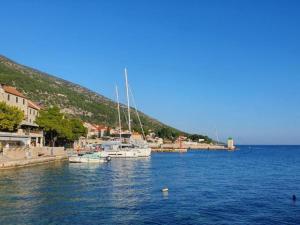 Apartments Dva Galeba - One Bedroom Apartment with Garden Terrace 202