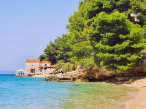 Apartments Dva Galeba - One Bedroom Apartment with Sea View 206