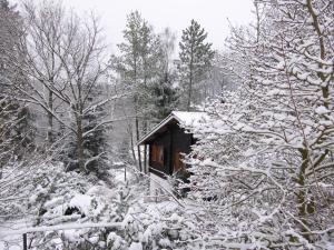 Počitniška hiša Ferienhaus Taunus I Weiperfelden Nemčija