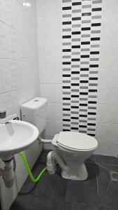 kiwi budget hotel