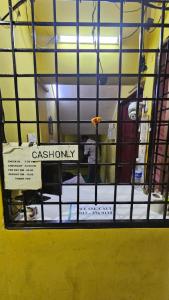 kiwi budget hotel
