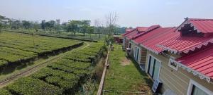 Goldee Wildlife Retreat