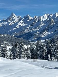 Appart LAPRESKI, vue montagne, spacieux & lumineux, Annecy, Lac & Aravis, La Clusaz
