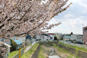 札幌白石区-地下鉄南郷13丁目駅徒歩5分-S-beds2-Hideaway