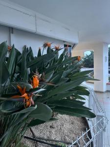 Prime View Apartment