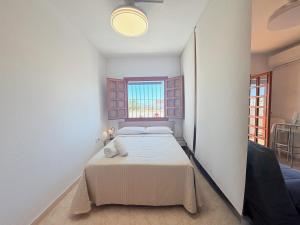 Estudio Mar Menor, Torre de la Horadada