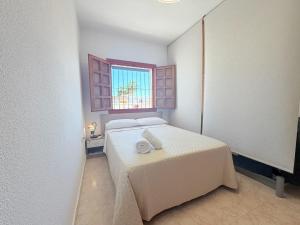 Estudio Mar Menor, Torre de la Horadada
