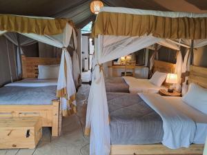 Hunters Luxury Camp-Amboseli