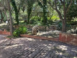 Casa vacanze Chri