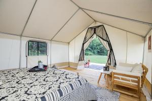 Summer Escape: Hike & Stargaze near Roaring River in Cassville, MO