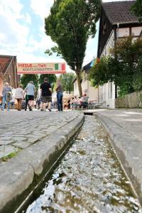 Haus 26 Natur Ferienpark - Ruhe, Natur und Komfort für erholsame Tage fern vom Alltag