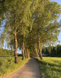 Haus 26 Natur Ferienpark - Ruhe, Natur und Komfort für erholsame Tage fern vom Alltag