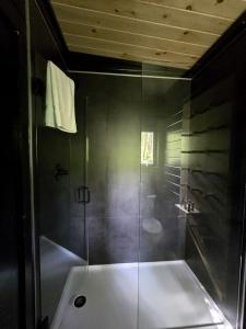 Dogwood: Modern Woodland Studio Pod Tiny Home with Private 300-Acre Forest near Quakertown Pennsylvania